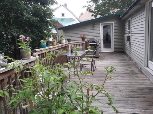 109 Starling St, Farmington, ME 04938 exterior