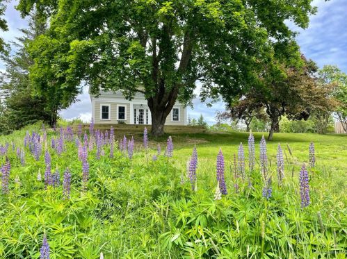 778 Sedgwick Rd, Sedgwick, ME 04676 exterior