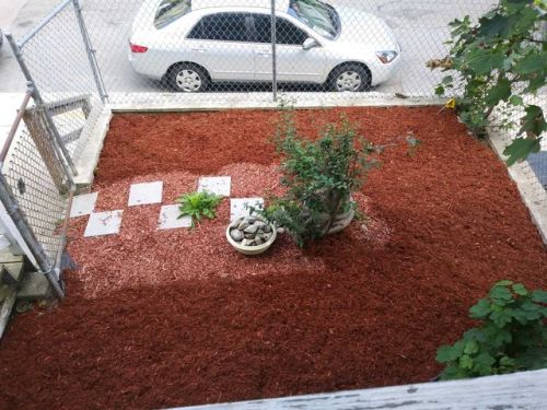45 Greenbrier St, Roxbury-Xing, MA 02124 exterior