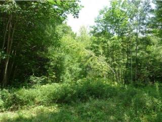 156 Chalk Pond Rd, Newbury, NH 03255 exterior