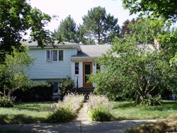 36 Anthony Cir, Newton, MA 02460 exterior