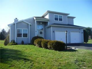 41 Audubon St, Suffield, CT 06078 exterior
