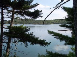265 Coffins Neck Rd, Lubec, ME 04652 exterior