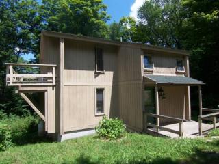 124 Edie Ln, Pikes Falls, VT 05343 exterior