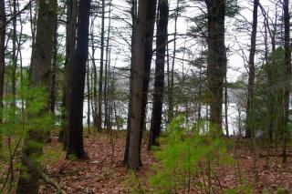 3 Mashapaug Rd, Holland, MA 01521 exterior