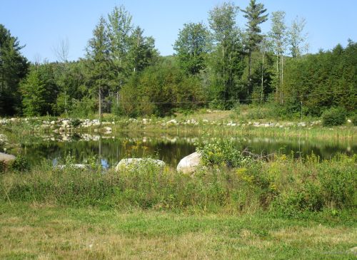 179 Ellingwood Rd, South Paris, ME 04281 exterior