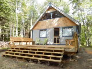 61 Halfmoon Pond Rd, Grafton, NH 03240 exterior