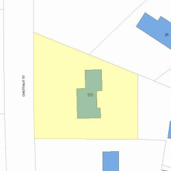 272 Chestnut St, Newton, MA 02465 plot plan
