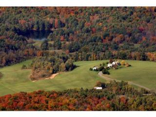 117 Bible Hill Rd, Brownsville, VT 05037 exterior