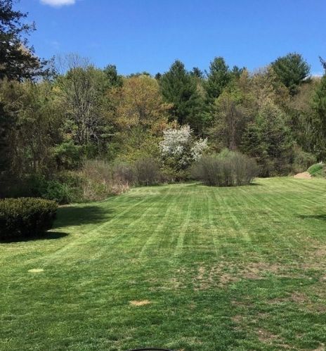 545 Wattaquadock Hill Rd, Bolton, MA 01740 exterior