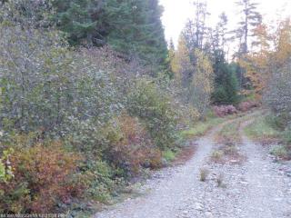 7 Scott Ln, Machias, ME 04654 exterior
