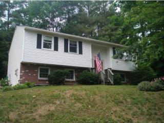 152 Fairview Ln, Alexandria, NH 03222 exterior
