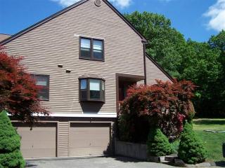 17 Meadowlark Cir, Upper-Stepney, CT 06468 exterior