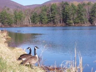 124 Dan Casey Memorial Blvd, Pittsfield, MA 01201 exterior