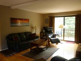 65 Village Walk, Wilton, CT 06897 exterior