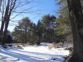 57 Durgin Rd, Chichester, NH 03258 exterior