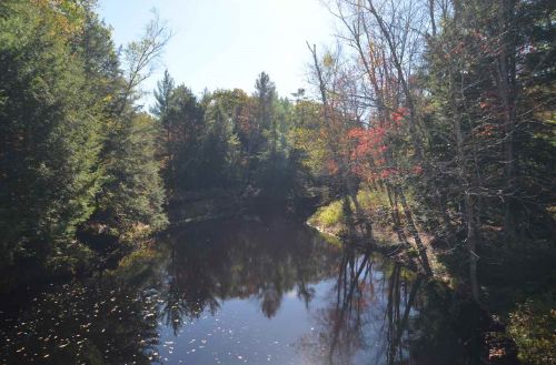 26 Ford Mill Rd, Danbury, NH 03230 exterior