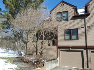 19 Bittersweet Cir, Upper Stepney, CT 06468 exterior