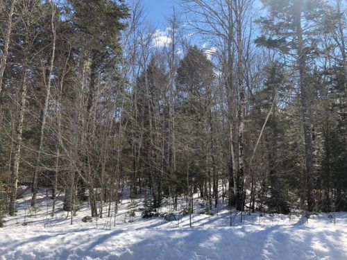 101 Sandy Acres Dr, Sullivan, ME 04664 exterior