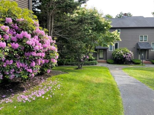 10 Stacy Dr, North-Andover, MA 01845 exterior