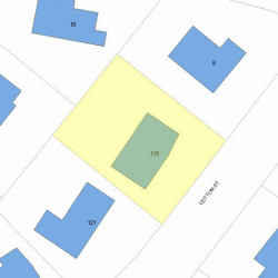 115 Cotton St, Newton, MA 02458 plot plan