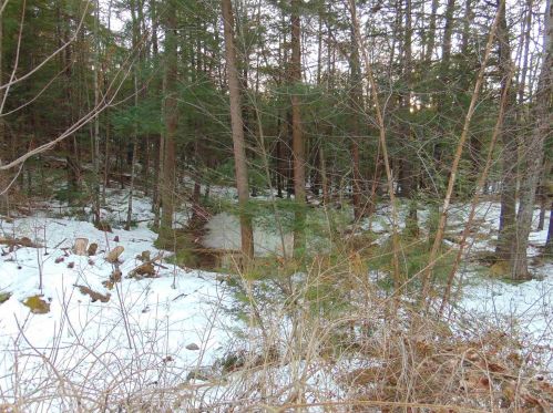 208 Pleasant Pond Rd, Francestown, NH 03043 exterior