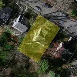 156 Elgin St, Newton, MA 02459 aerial view