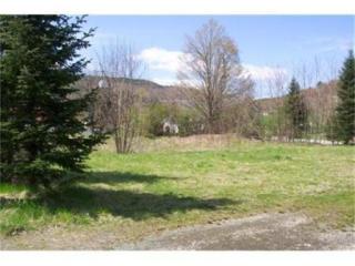 1 Brattleboro Rd, Leyden, MA 01301 exterior