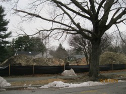 69 Karen Rd, Newton, MA 02468 exterior