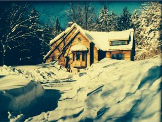 170 Frog City Rd, Plymouth, VT 05056 exterior