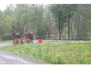 2053 Brook Rd, Corinth, VT 05039 exterior