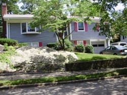 18 Myerson Ln, Newton, MA 02459 exterior