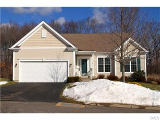 349 Niblick Ln, Seymour, CT 06478 exterior