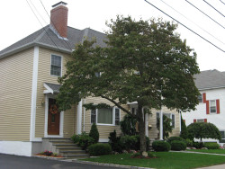 17 Cherry Pl, Newton, MA 02465 exterior