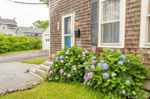 22 Lawn Ave, Rockland, ME 04841 exterior