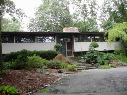 37 Silver Birch Rd, Newton, MA 02468 exterior