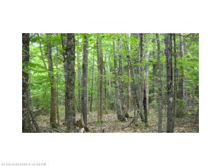 117 Sandy Acres Dr, Sullivan, ME 04664 exterior