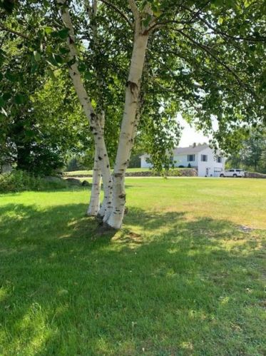119 Jason Ave, Jefferson, NH 03583 exterior