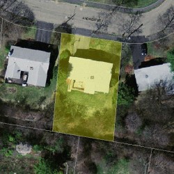 83 Andrew St, Newton, MA 02461 aerial view