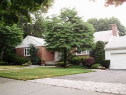 81 Broken Tree Rd, Newton, MA 02459 exterior