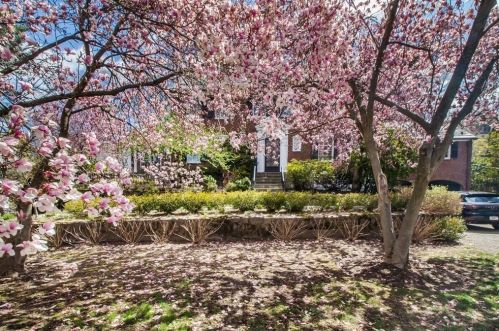 464 Newton St, Roxbury-Xing, MA 02467 exterior