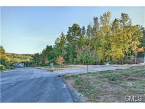 56 Pinto Ln, Upper-Stepney, CT 06468 exterior