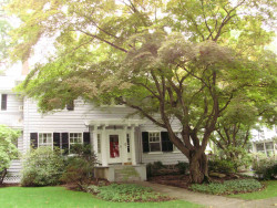 41 Windermere Rd, Newton, MA 02466 exterior