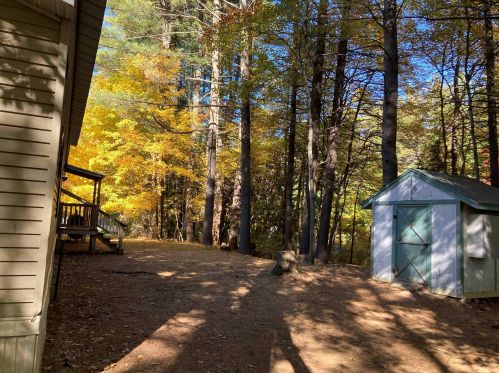 35 Wyman Rd, Deering, NH 03244 exterior