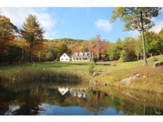 1770 Tyson Rd, Reading, VT 05062 exterior