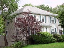 110 Upland Ave, Newton, MA 02461 exterior