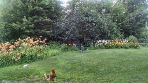 79 Griffin Rd, Deerfield, NH 03037 exterior