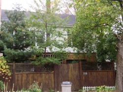306 Langley Rd, Newton, MA 02459 exterior
