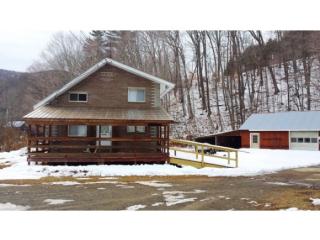 1455 Vt Route 30, Townshend, VT 05353 exterior