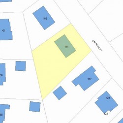 111 Cypress St, Newton, MA 02459 plot plan